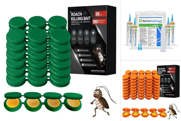 Detailed view of Best Indoor Roach Gel Packs: Top Picks for Fast Results