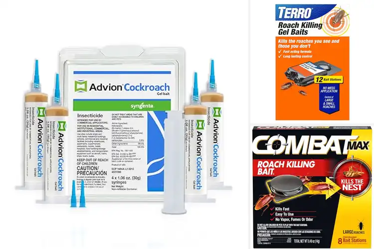 Detailed view of Best Indoor Roach Killers for Fast Home Relief