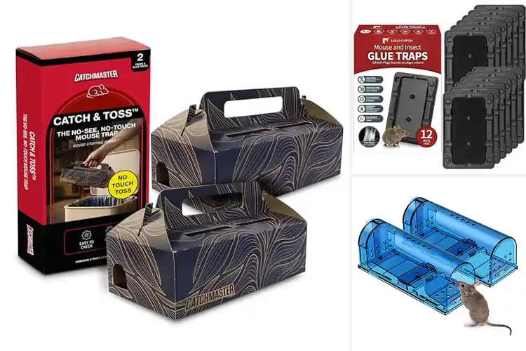Detailed view of Best Indoor Rodent Traps Without Bait