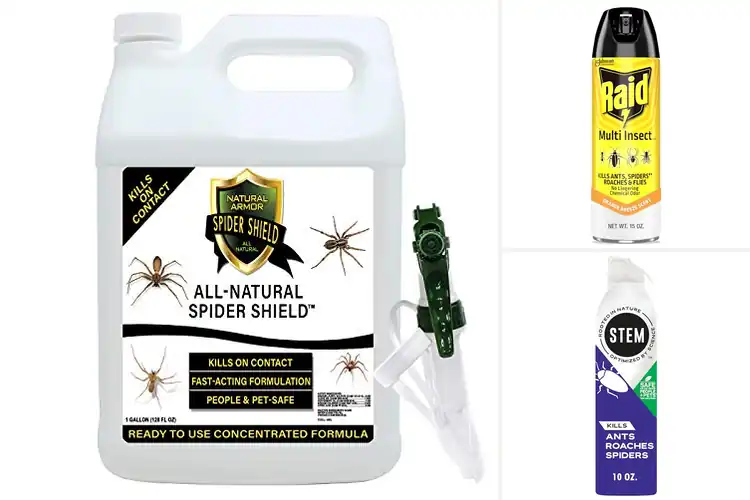Detailed view of Best Indoor Spider Killer: Top 10 Safe & Effective Solutions
