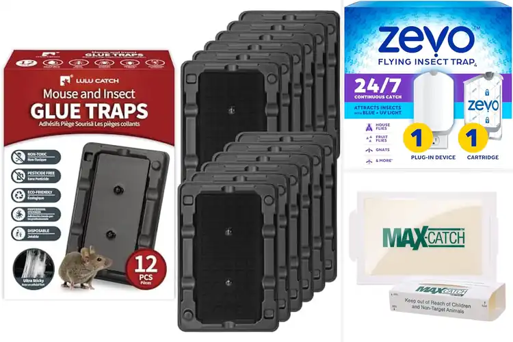 Detailed view of Best Indoor Traps for a Pest-Free Home