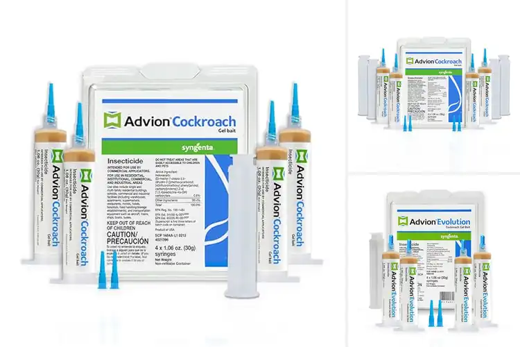 Detailed view of Best Indoxacarb Cockroach Gel Bait