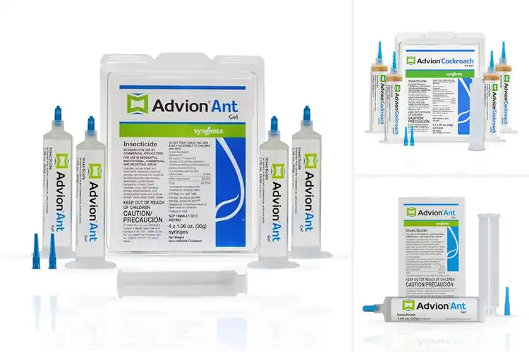 Detailed view of Best Indoxacarb Gel Baits for Fast, Stress‑Free Pest Control