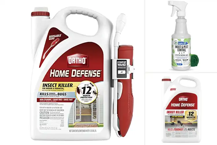Detailed view of Best Insect Control Sprays: Top Picks for a Bug-Free Home