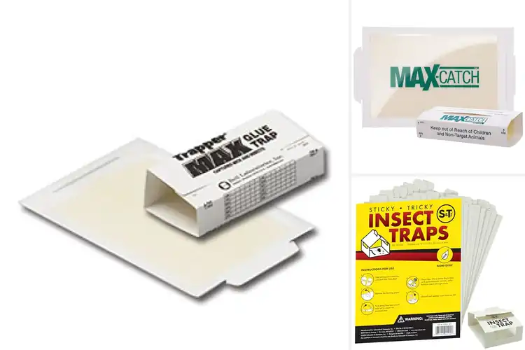 Detailed view of Best Insect Glue Traps