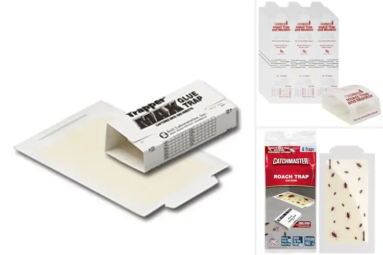 Detailed view of Best Insect Traps For Cockroaches