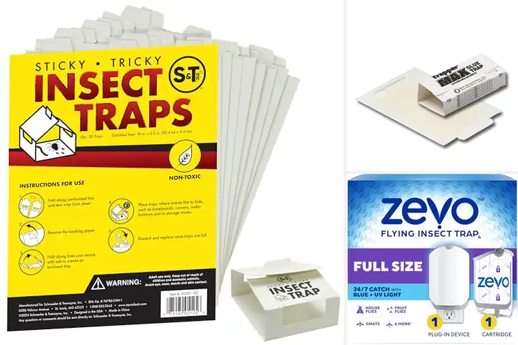Detailed view of Best Insect Traps For Homes
