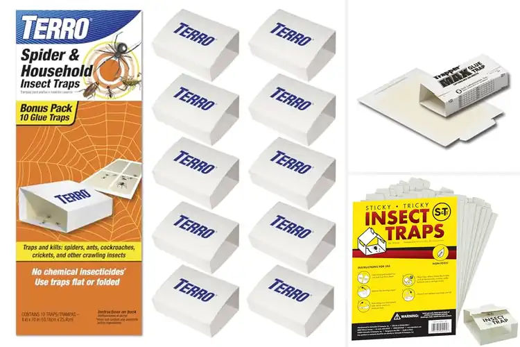Detailed view of Best Insect Traps For Households: Top 10 Bug-Free Solutions