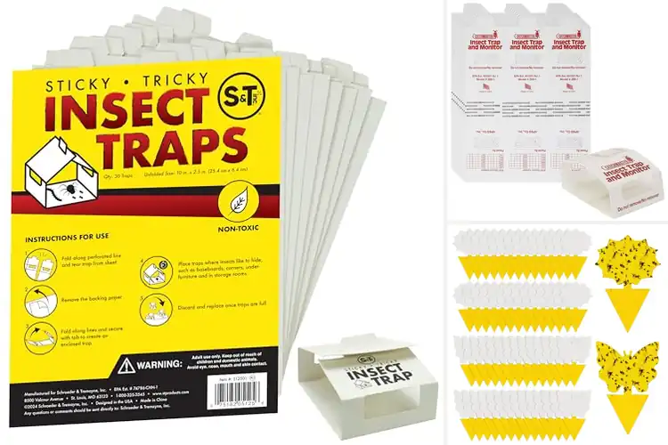 Detailed view of Best Insect Traps: Effective Solutions for a Pest-Free Home