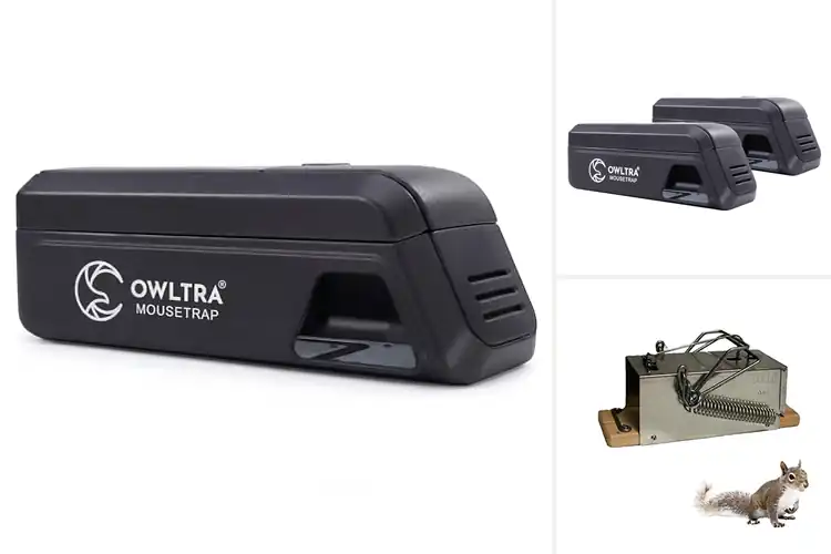 Detailed view of Best Instant Rodent Elimination Traps