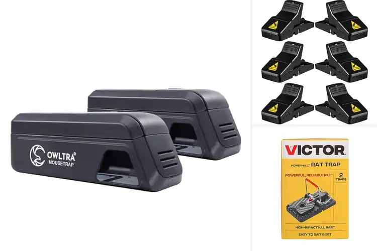 Detailed view of Best Instant Rodent Killers