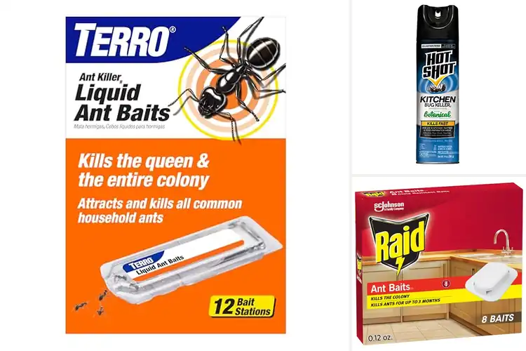 Detailed view of Best Kitchen Ant Killers
