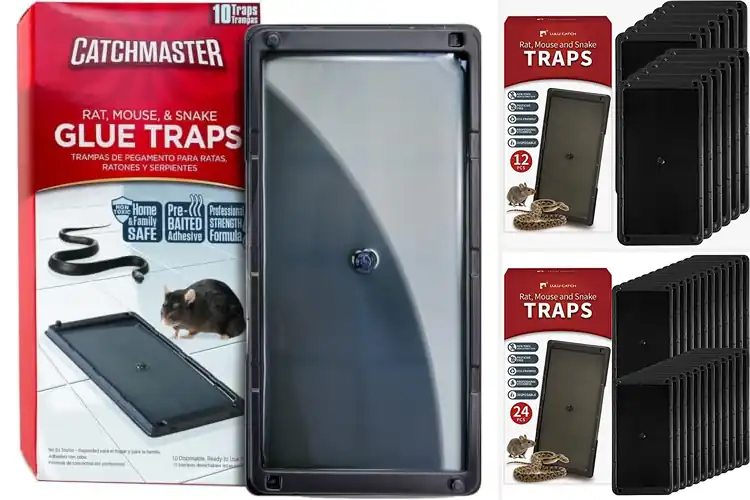 Detailed view of Best Large Glue Rat Traps: Top 10 Pet-Safe Pest Solutions
