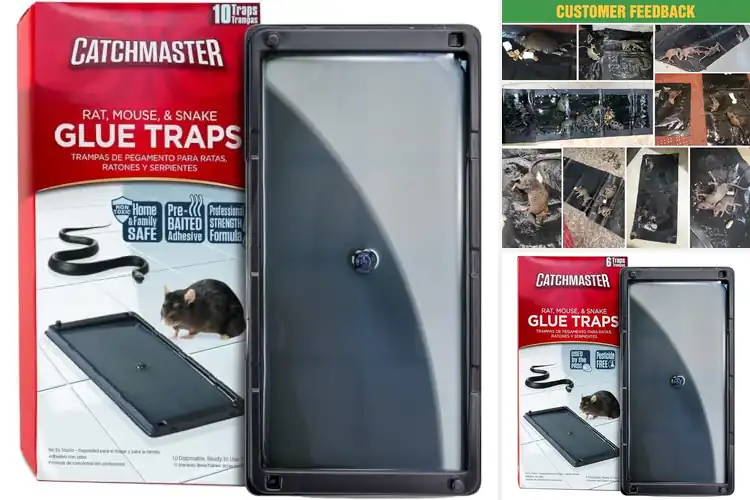 Detailed view of Best Large Glue Traps For Rodents: Top Picks & Expert Tips