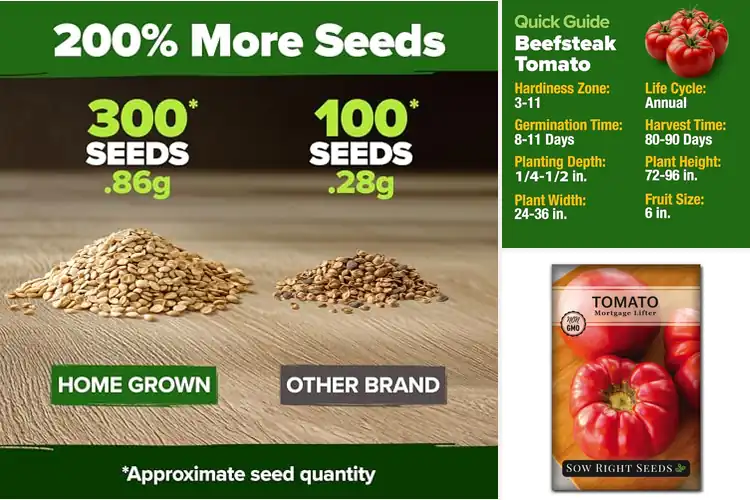 Detailed view of Best Large Meaty Tomatoes