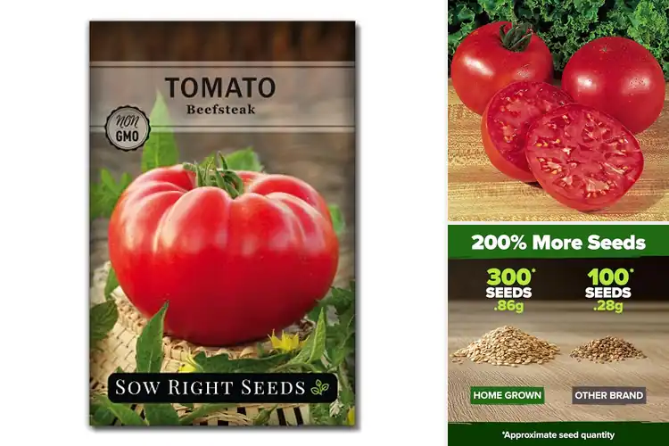 Detailed view of Best Large Tomato Seeds: 10 Seeds for a Bountiful Harvest