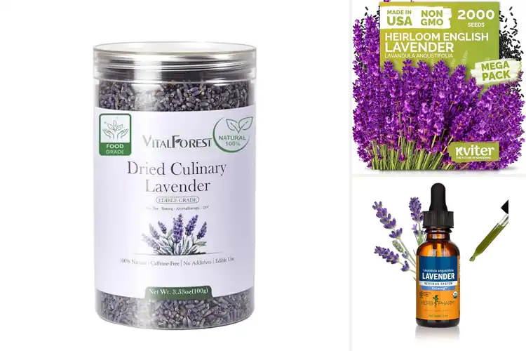 Detailed view of Best Lavender Wellness Herbs for Daily Calm