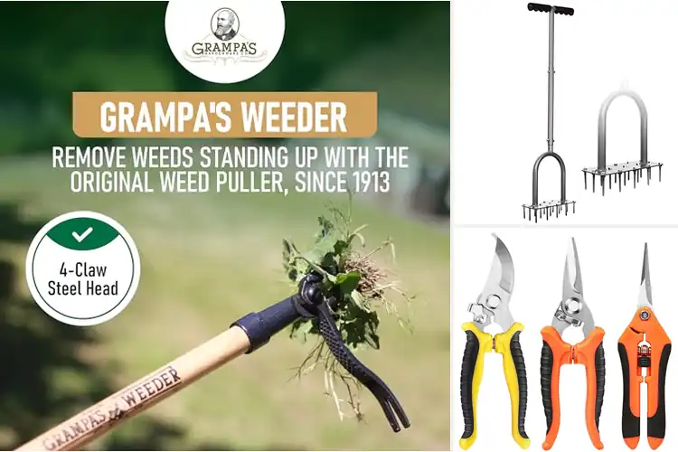 Detailed view of Best Lawn Care Tools: Top 10 Picks for a Healthy, Green Yard