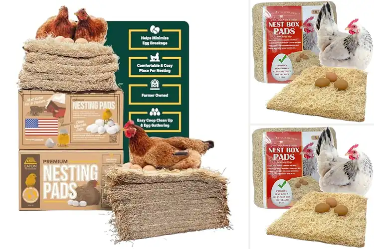 Detailed view of Best Laying Hen Nesting Pads