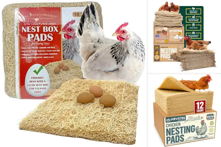 Detailed view of Best Laying Hen Pads for Comfort and Healthy Hens