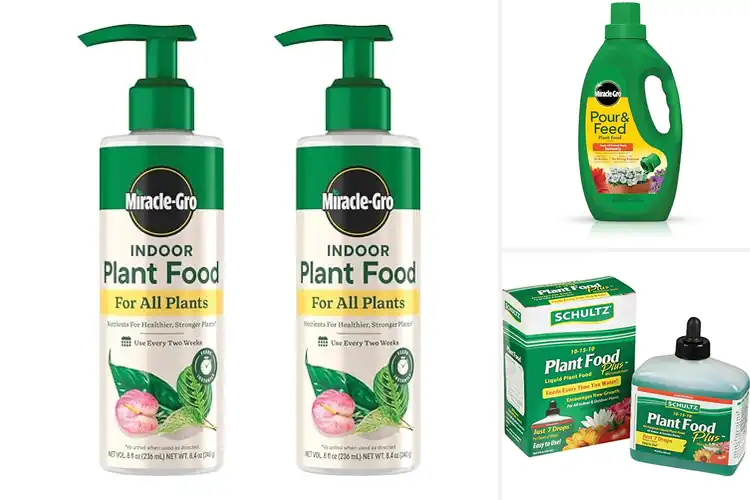 Detailed view of Best Liquid Plant Foods: Top 10 Picks for a Thriving Garden