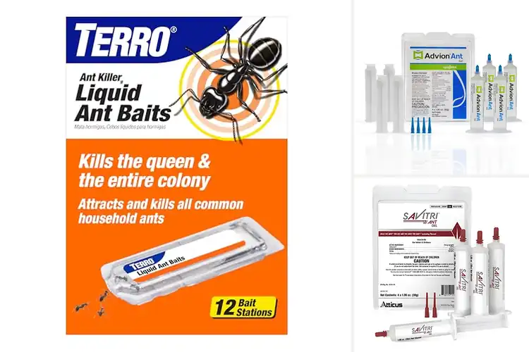 Detailed view of Best Long Lasting Ant Baits: Top Picks for a Pest-Free Home