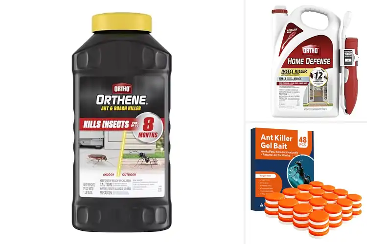 Detailed view of Best Long Lasting Ant Killers: Top 10 Pest-Free Solutions