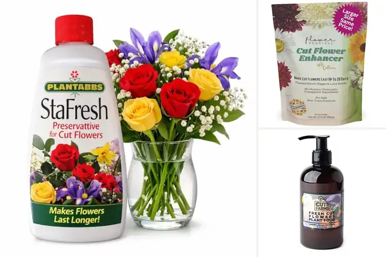 Detailed view of Best Long-Lasting Cut Flowers: Fresh Arrangements for Days