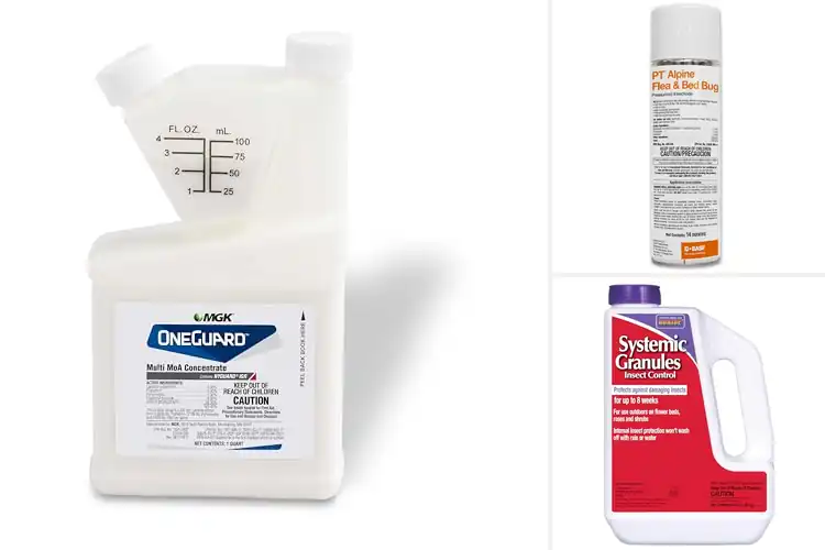 Detailed view of Best Long-Lasting Insecticides
