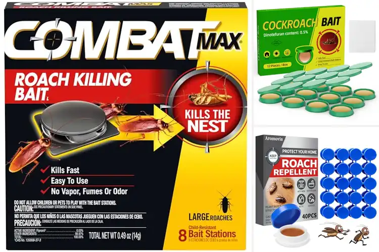 Detailed view of Best Long-Lasting Roach Baits