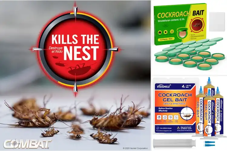 Detailed view of Best Long Lasting Roach Gel Bait