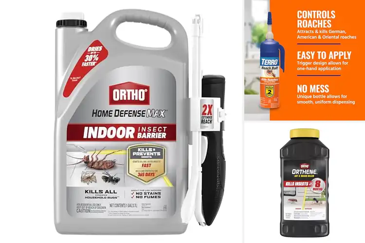 Detailed view of Best Long-Lasting Roach Killers