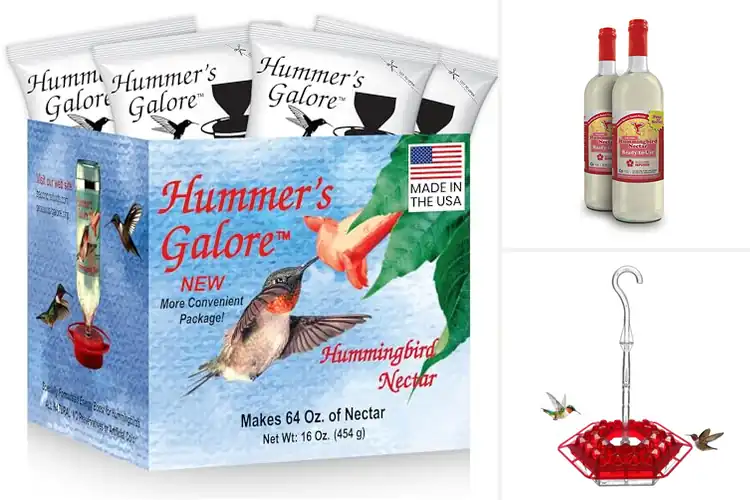 Detailed view of Best Made In USA Nectars for a Thriving Hummingbird Haven