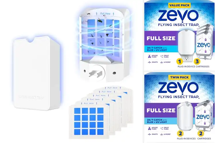 Detailed view of Best Mess-Free Bug Traps: Top 10 Kid & Pet-Safe Solutions
