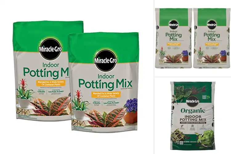 Detailed view of Best Miracle-Gro Indoor Potting Mix