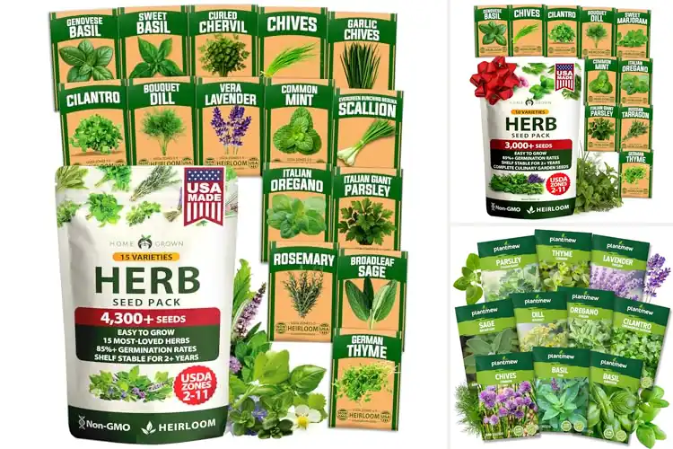 Detailed view of Best Mixed Herb Seeds: Top Picks for Fresh Homegrown Flavor