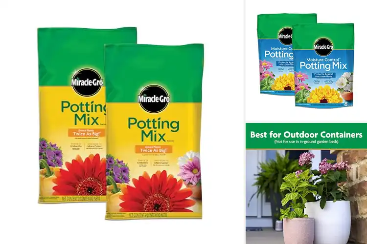 Detailed view of Best Mixes For Growing Plants Twice As Big