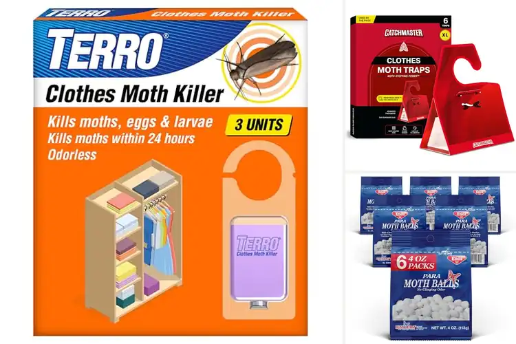 Detailed view of Best Moth Control Products