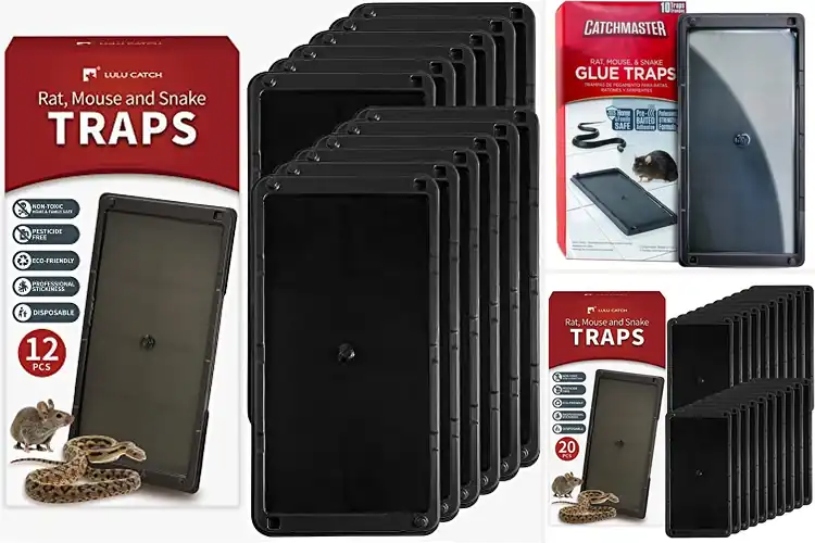 Detailed view of Best Mouse And Rat Glue Traps: Top 10 Pest-Free Solutions