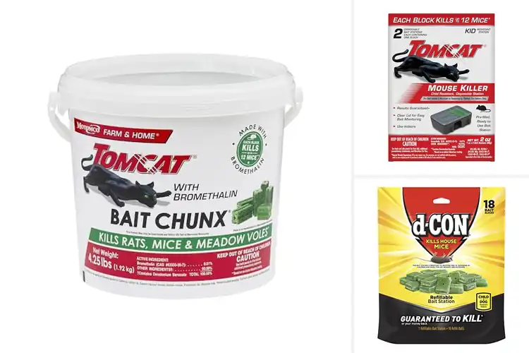 Detailed view of Best Mouse Baits