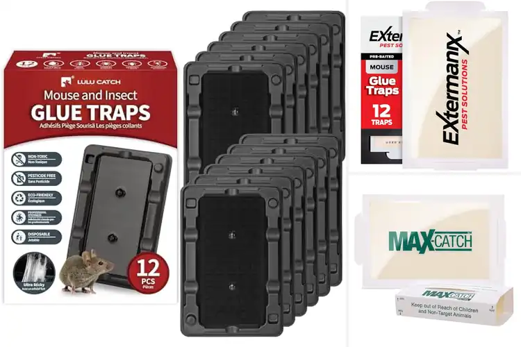 Detailed view of Best Mouse Glue Traps For Indoor Use