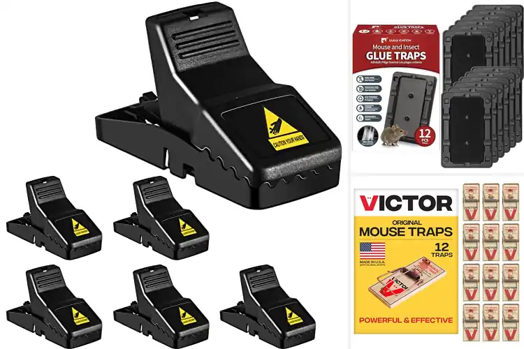 Detailed view of Best Mouse Traps For Homes