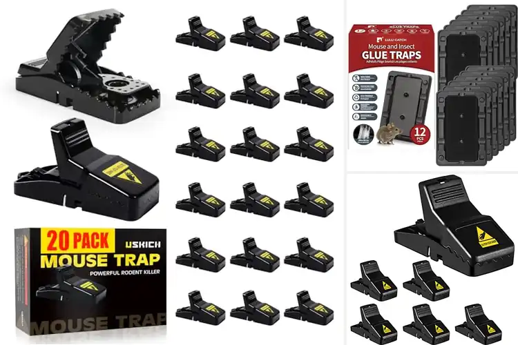 Detailed view of Best Mouse Traps for House: Top Picks for a Pest-Free Home
