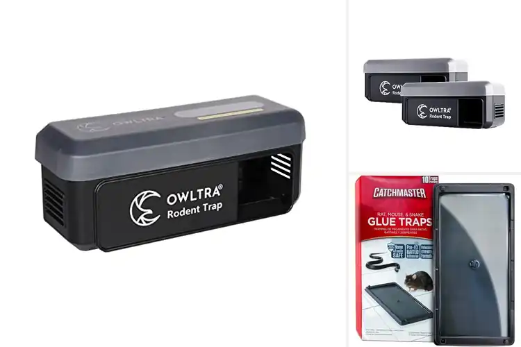 Detailed view of Best Mouse Traps Waterproof