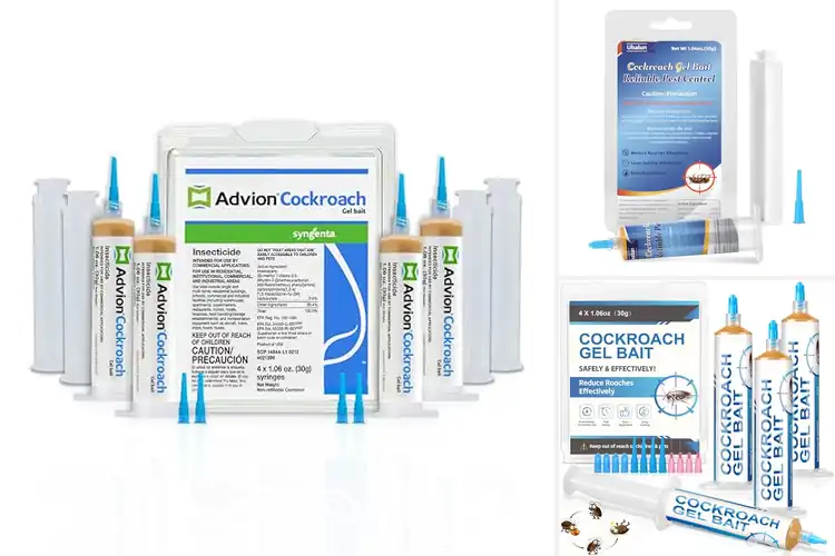 Detailed view of Best Multi Roach Transfer Effect Gel