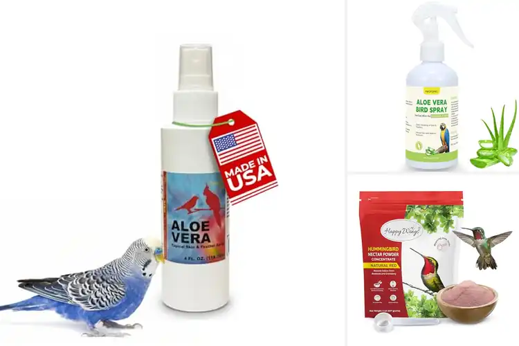 Detailed view of Best Natural Bird Hydration Solutions