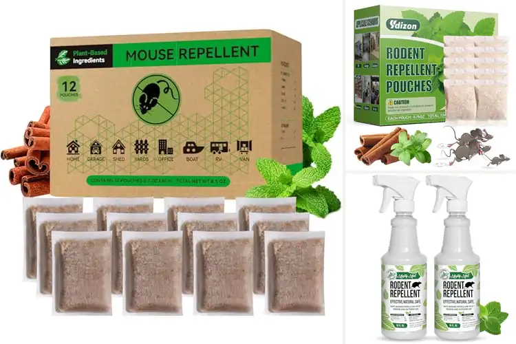 Detailed view of Best Natural Mouse Repellents