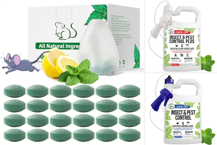 Detailed view of Best Natural Pest Controls