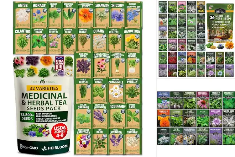 Detailed view of Best Natural Wellness Seeds: Calm & Strength for Daily Life