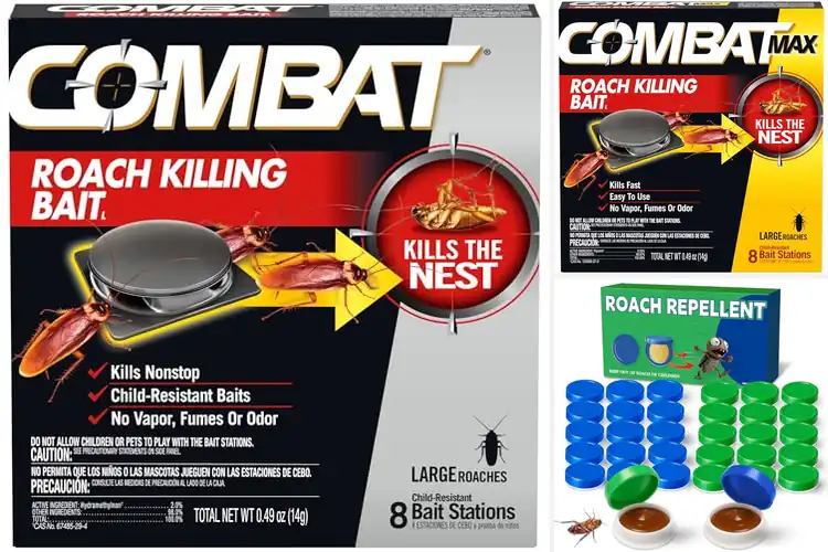 Detailed view of Best Nest-Eliminating Roach Baits